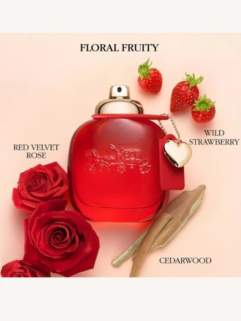 Coach Love 10 mL 0.33 oz Travel Spritz Floral Fruity NIB